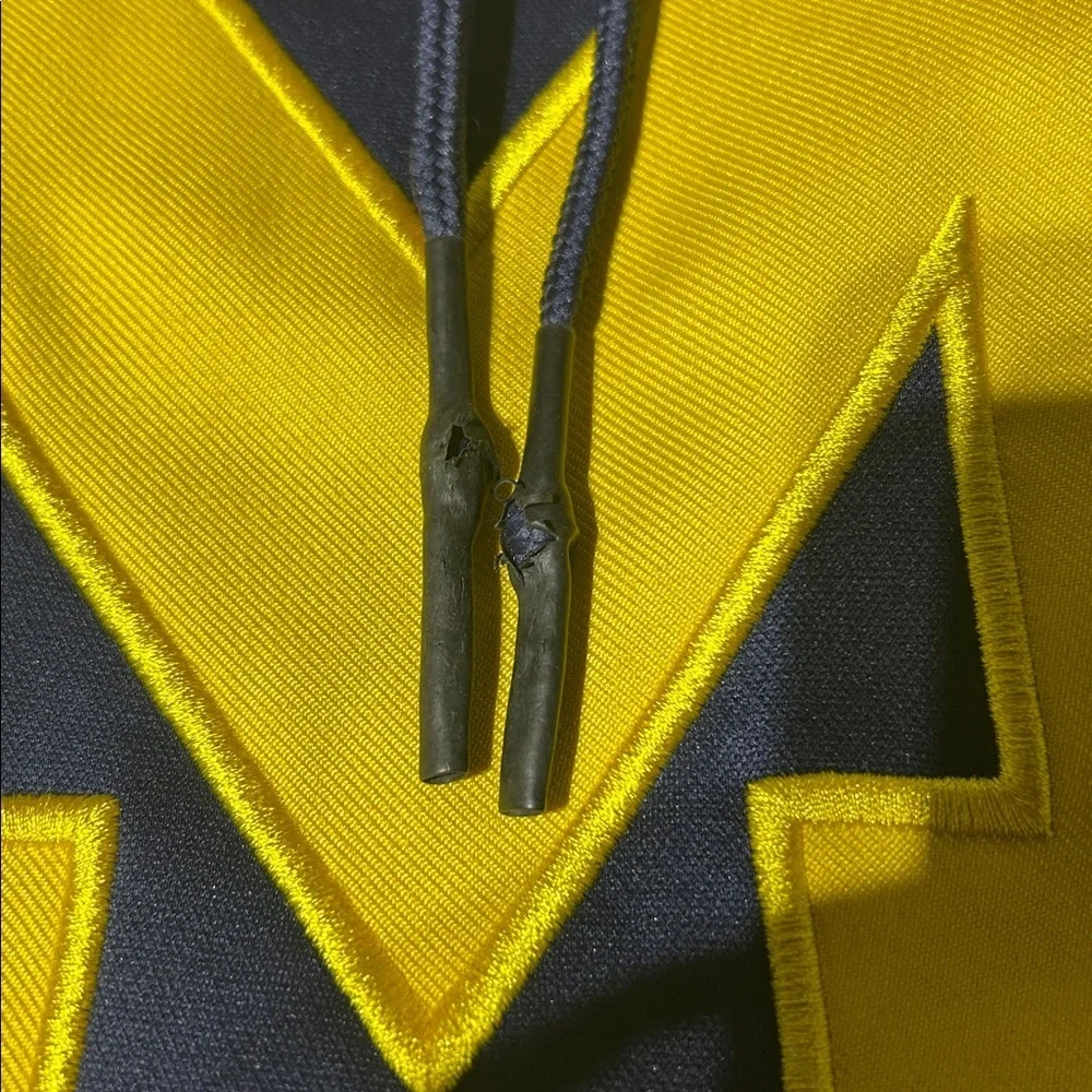 Champion University of Michigan Navy and Maize Embroidered Hoodie (Men XL)